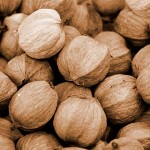 Hickory-nuts