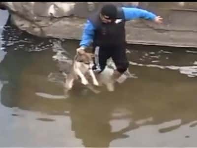 D6 Brave Man Saves The Drowning Cute Dog’s Life…..It’s Amazing=